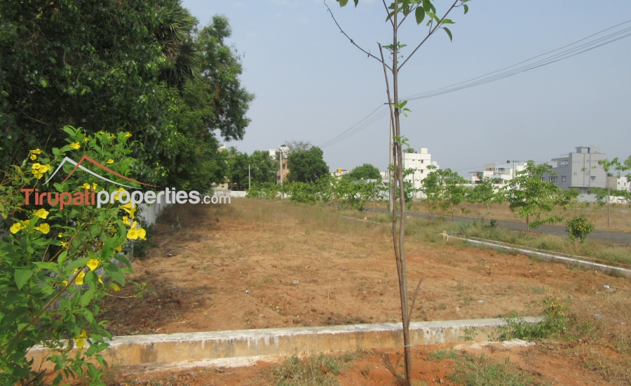 TUDA Approved #GatedCommunity East, West and North Facing Venture #PlotsforSale in Tiruchanur, #Tirupati